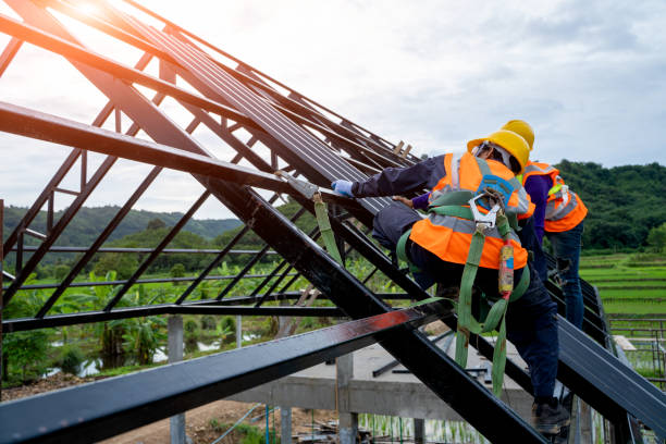 Roof Gutter Cleaning in West Newton, PA